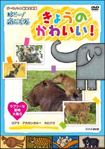 ダーウィンの動物大図鑑 はろ~!あにまる きょうのかわいい! ラブリーな動物大集合