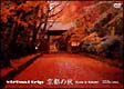 Virtual　Trip　京都の秋