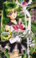 美少女戦士セーラームーン<新装版>（9）