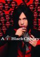 Ａｃｉｄ　Ｂｌａｃｋ　Ｃｈｅｒｒｙ　ｙａｓｕライブ写真集