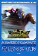 ウイニングポスト7 マキシマム2007 名馬ファイル