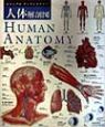 人体解剖図