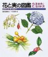 花と実の図鑑　夏・秋・冬に花が咲く木