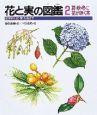 花と実の図鑑　夏・秋・冬に花が咲く木(2)