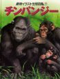 動物イラスト生態図鑑　チンパンジー(7)