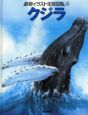 動物イラスト生態図鑑　クジラ(10)