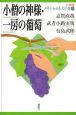 小僧の神様・一房の葡萄　21世紀版少年少女日本文学館5