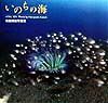 いのちの海　伊豆・大瀬崎の美しい海の中　海島晴由写真集