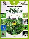 虫のいる場所図鑑　草原でであう虫たち