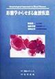 形態学からせまる血液疾患