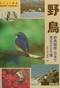 野鳥