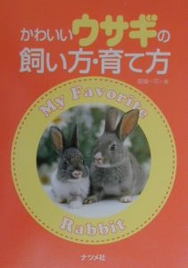 かわいいウサギの飼い方・育て方