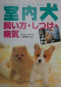 室内犬飼い方・しつけ・病気