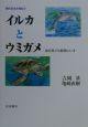 現代日本生物誌　イルカとウミガメ(4)
