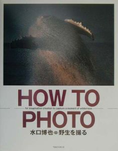 Ｈｏｗ　ｔｏ　ｐｈｏｔｏ