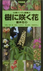 樹に咲く花　離弁花