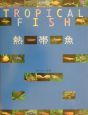 TROPICAL　FISH　熱帯魚