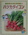 お花がさいたやさいができた　ハツカダイコン(5)