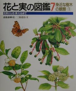 花と実の図鑑　身近な樹木の観察