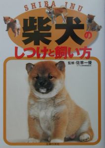 柴犬のしつけと飼い方