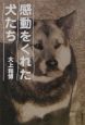 感動をくれた犬たち