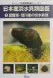 日本産淡水貝類図鑑　琵琶湖・淀川産の淡水貝類(1)