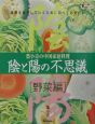 陰と陽の不思議　野菜編