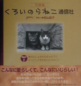 くろいのらねこ通信社