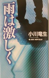 雨は激しく