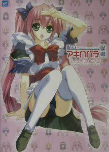 私立アキハバラ学園 ビジュアルファンブック