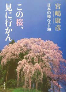 この桜、見に行かん