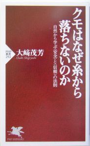 クモはなぜ糸から落ちないのか