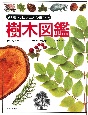 「知」のビジュアル百科　樹木図鑑(3)