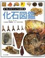 「知」のビジュアル百科　化石図鑑(4)