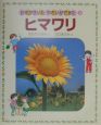 お花がさいたやさいができた　ヒマワリ(10)