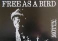 Free　as　a　bird