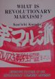 英語版・革命的マルクス主義とは何か？