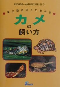 カメの飼い方