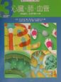 からだというふしぎな「機械」　心臓・肺・血管(3)