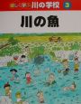 楽しく学ぶ川の学校　川の魚(3)