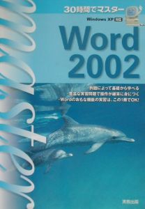 鶴見浩司『30時間でマスターWord 2002』