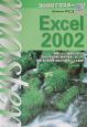 30時間でマスターExcel　2002