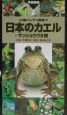 日本のカエル＋サンショウウオ類