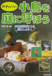 かわいい小鳥を庭に呼ぼう