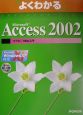 Microsoft　Access2002　マクロ／VBA入門
