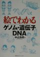 絵でわかるゲノム・遺伝子・DNA（ディーエヌエー）