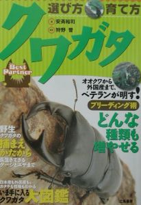 クワガタ選び方・育て方