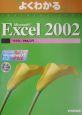 Microsoft　Excel2002　マクロ／VBA入門