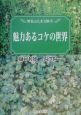 魅力あるコケの世界