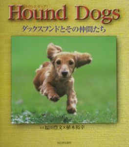 Hound dogs